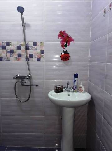 Фото номера Дом с 2 спальнями Гостевой дом Apart-otel Nino г. Боржоми 8