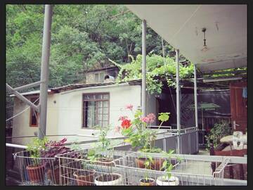 Фото номера Четырехместный номер эконом-класса Гостевой дом Guest house BORJOMI г. Боржоми 16