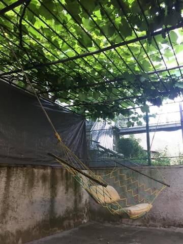 Фото номера Четырехместный номер эконом-класса Гостевой дом Guest house BORJOMI г. Боржоми 30