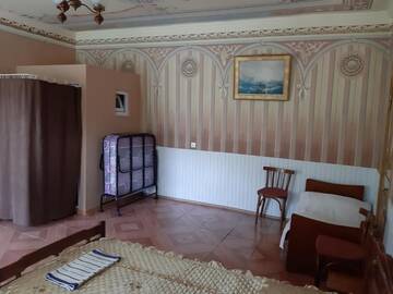 Фото номера Трехместный номер с балконом Гостевой дом Alex г. Боржоми 26