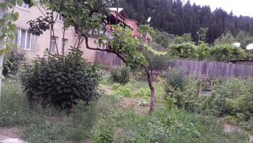 Фото номера Дом с 2 спальнями Дома для отпуска Eco Hotel Borjomi г. Боржоми 15