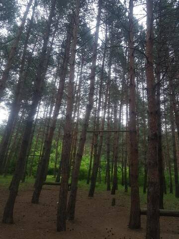 Фото номера Дом с 2 спальнями Дома для отпуска Eco Hotel Borjomi г. Боржоми 16