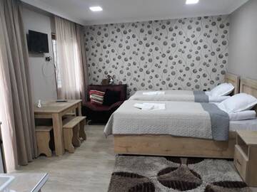 Фото номера Апартаменты с 1 спальней Гостевой дом Guesthouse Saba г. Боржоми 13