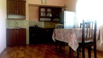 Фото номера Двухместный номер с 1 кроватью или 2 отдельными кроватями Гостевой дом Мзетамзе 59 г. Боржоми 11