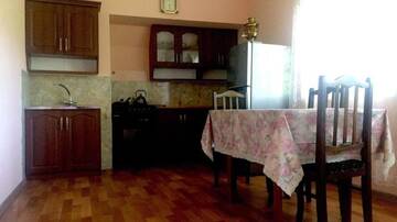 Фото номера Двухместный номер с 1 кроватью или 2 отдельными кроватями Гостевой дом Мзетамзе 59 г. Боржоми 17