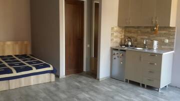 Фото номера Четырехместный номер &quot;Комфорт&quot; Гостевой дом nimako г. Боржоми 3
