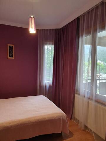 Фото номера Семейный двухместный номер с 1 кроватью Гостевой дом GUEST HOUSE BORJOMI VERDE г. Боржоми 7