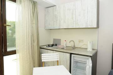 Фото номера Апартаменты с 1 спальней Апарт-отели Borjomi Apartments Apart Hotel г. Боржоми 11