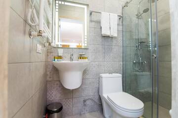 Фото номера Четырехместный номер Делюкс Отель Rustaveli Borjomi Hotel г. Боржоми 16