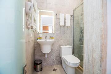 Фото номера Классический четырехместный номер Отель Rustaveli Borjomi Hotel г. Боржоми 22