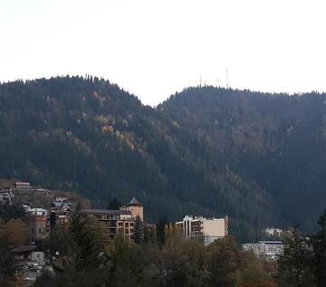Фото номера Апартаменты с видом на горы Апарт-отели golden borjomi г. Боржоми 49