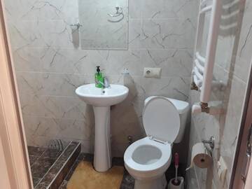 Фото номера Номер-студио Делюкс с кроватью размера &quot;queen-size&quot; Гостевой дом guest house DIDEBULI г. Боржоми 8