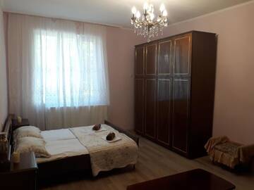 Фото номера Номер-студио Делюкс с кроватью размера &quot;queen-size&quot; Гостевой дом guest house DIDEBULI г. Боржоми 5