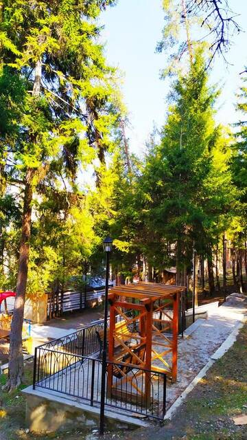 Фото номера Четырехместный номер с видом на горы Гостевой дом forest panorama г. Боржоми 18