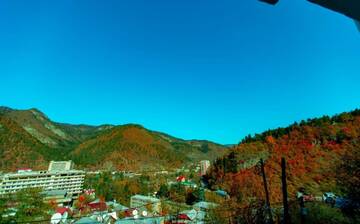 Фото номера Стандартный двухместный номер с 1 кроватью Отель Hotel Caucasus Borjomi г. Боржоми 10